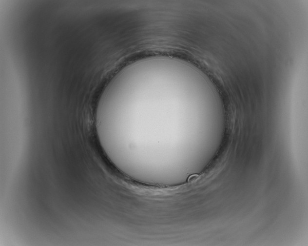 X0000111950040200907271044