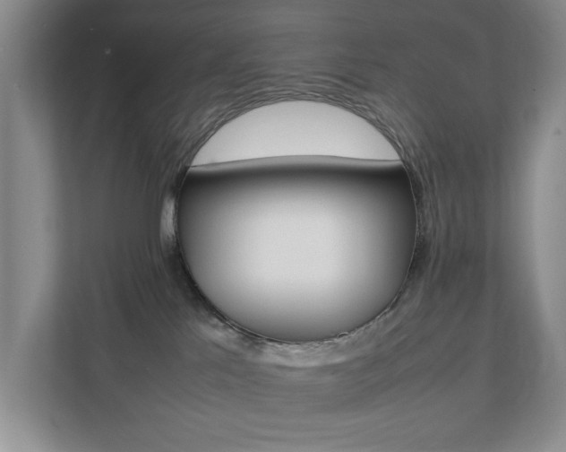 X0000111950041200907271044