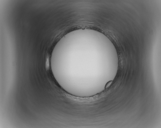 X0000111950042200907271043
