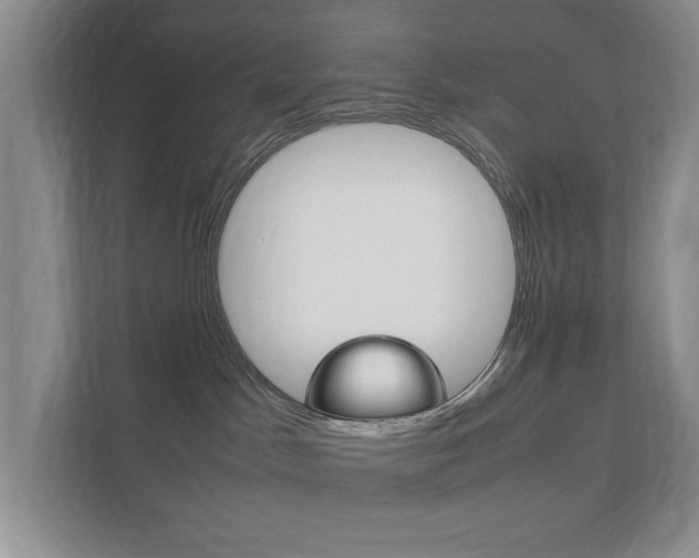 X0000111950045200907271043
