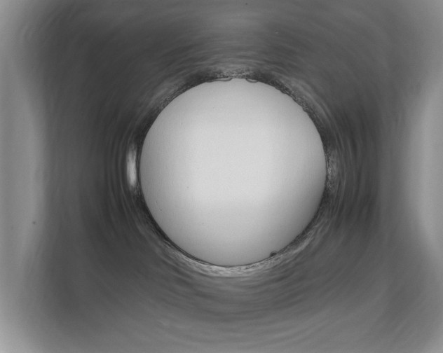X0000111950046200907271043