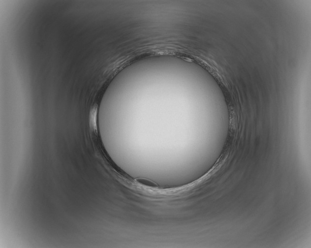 X0000111950047200907271043