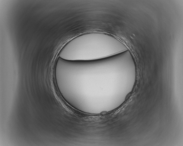 X0000111950049200907271043