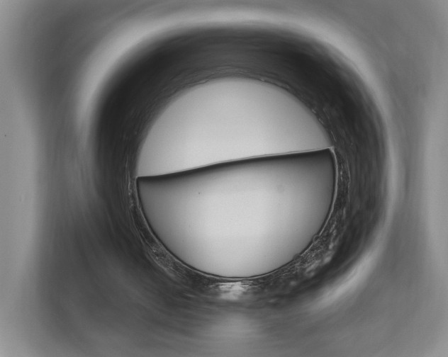 X0000111950050200907271043