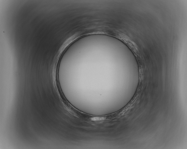 X0000111950051200907271043