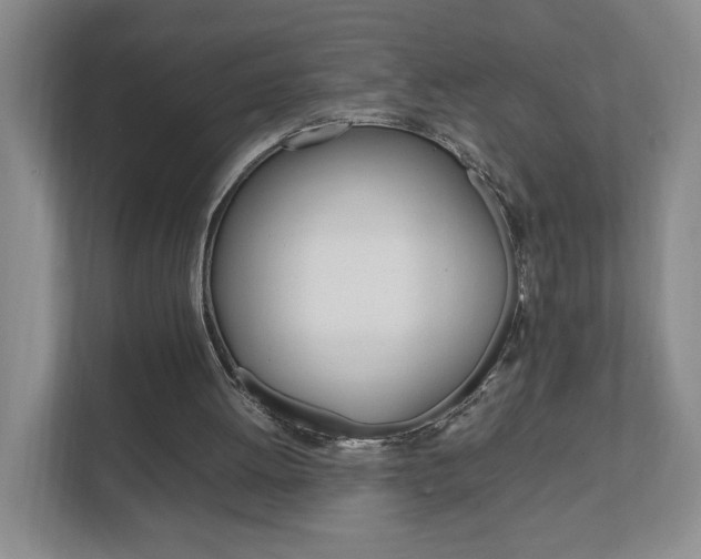 X0000111950052200907271043