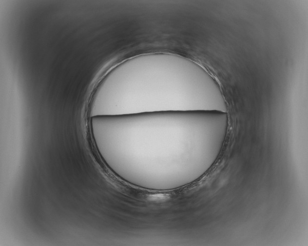 X0000111950053200907271043