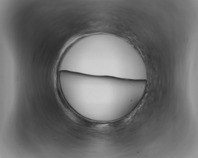 X0000111950054200907271043