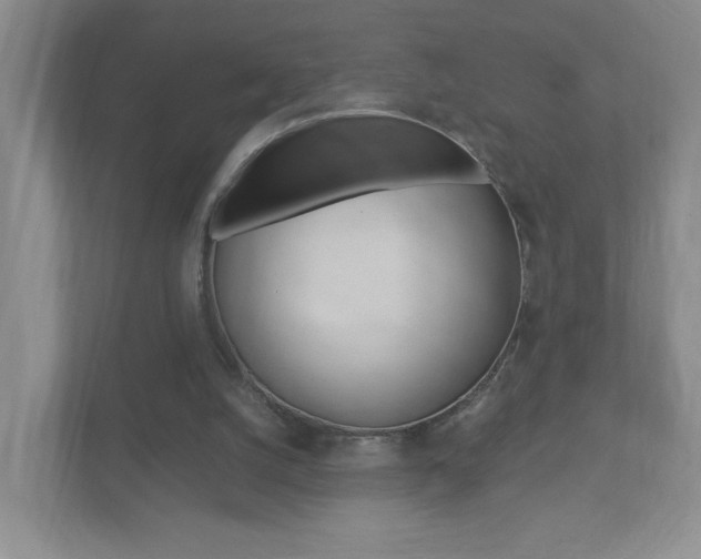 X0000111950056200907271043