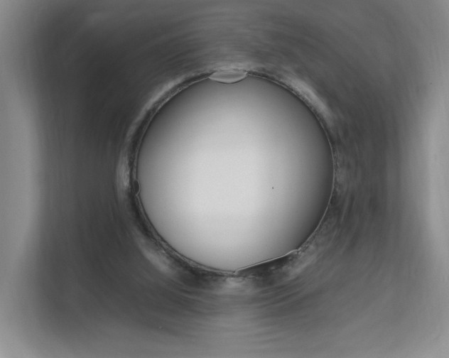X0000111950060200907271043