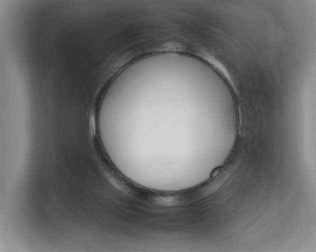 X0000111950061200907271043