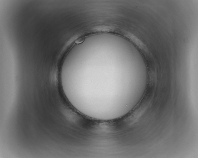 X0000111950064200907271043