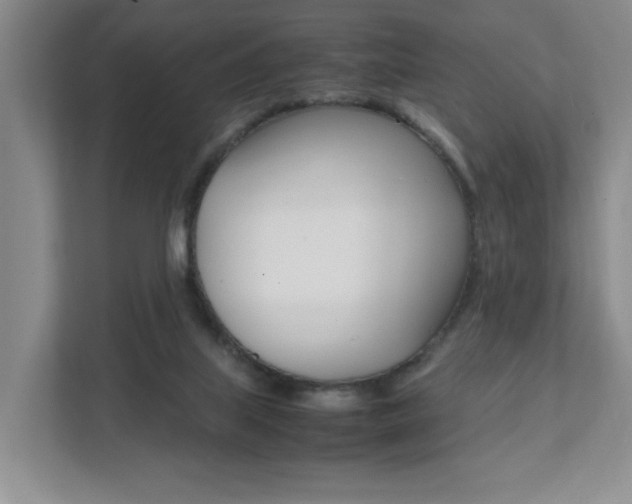 X0000111950067200907271043
