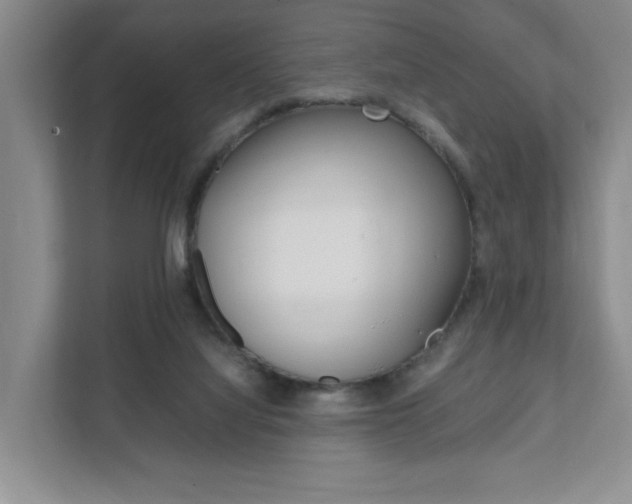 X0000111950068200907271043
