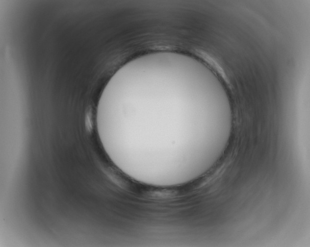 X0000111950069200907271043