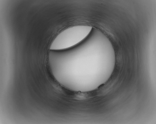 X0000111950079200907271043
