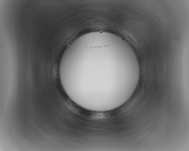 X0000111950083200907271043