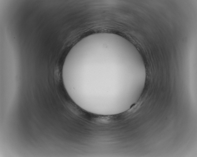 X0000111950086200907271043