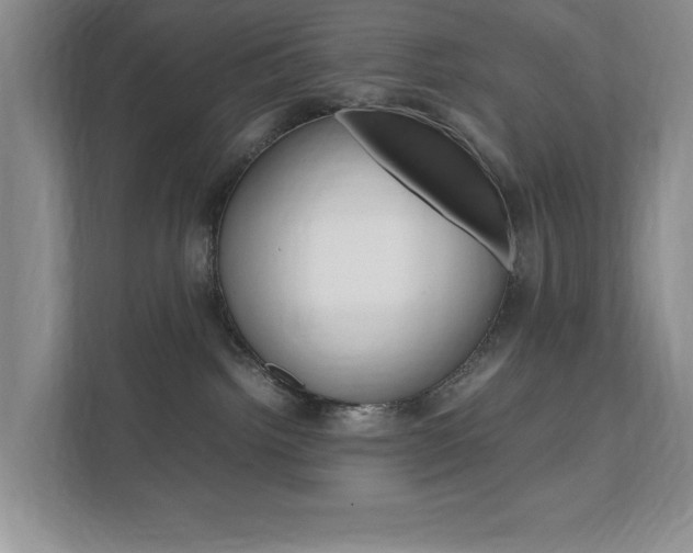 X0000111950092200907271043