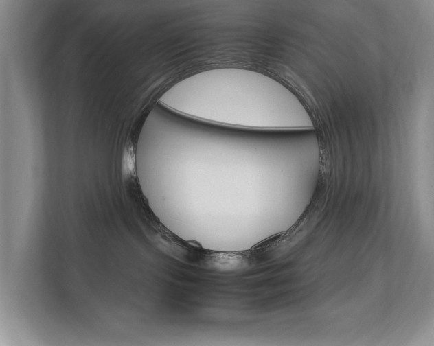 X0000111950095200907271043