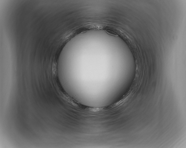 X0000111950096200907271043
