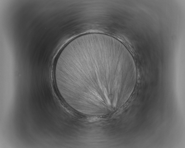 X0000111950098200907271043