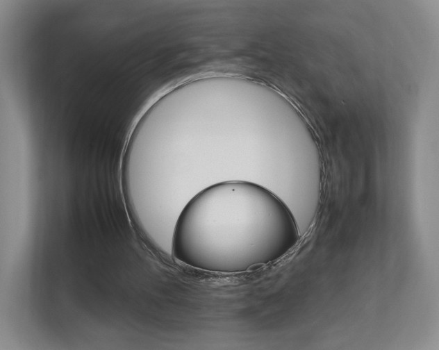 X0000111950100200907271043