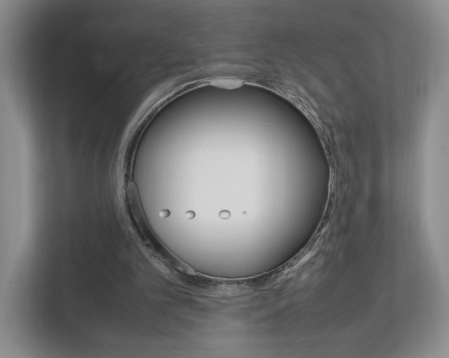 X0000111950101200907271043
