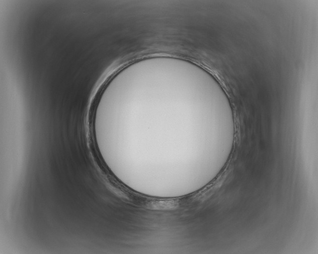 X0000111950102200907271043