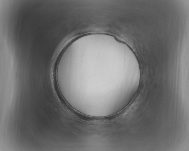 X0000111950103200907271043
