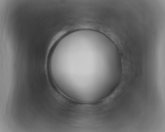 X0000111950104200907271043
