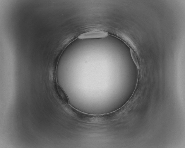X0000111950105200907271043