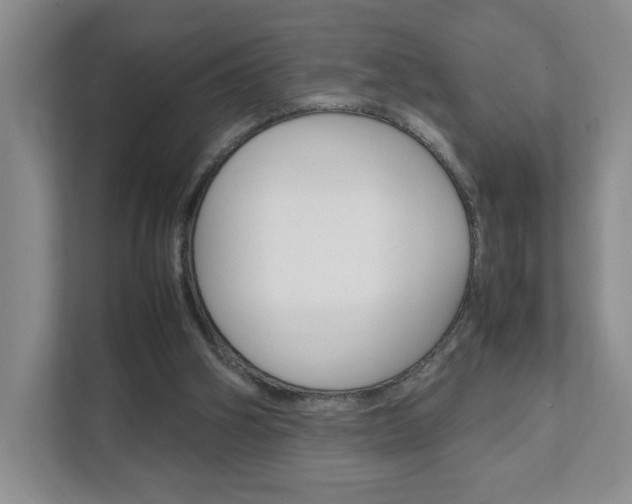 X0000111950106200907271043