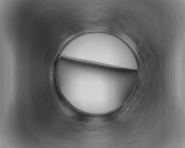 X0000111950107200907271043