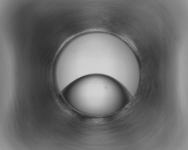 X0000111950108200907271043