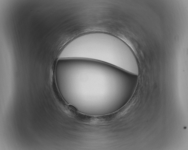 X0000111950109200907271043