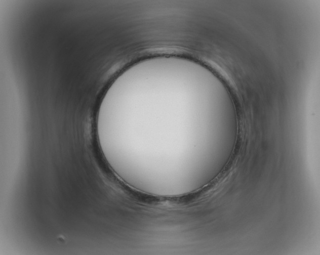 X0000111950111200907271043