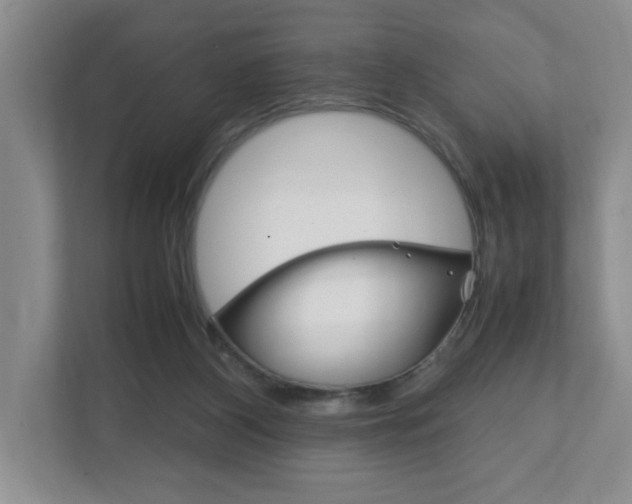 X0000111950116200907271043