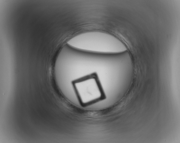 X0000111950117200907271043