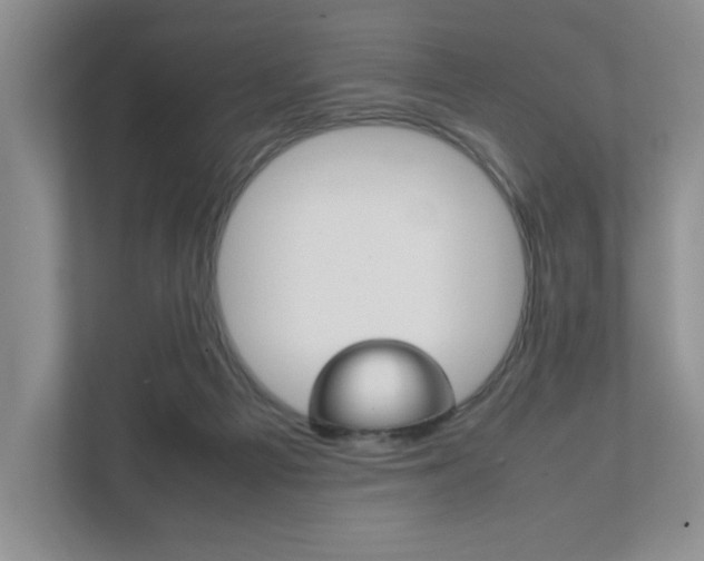 X0000111950121200907271042
