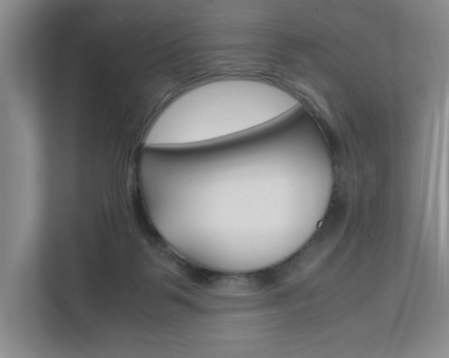 X0000111950123200907271042