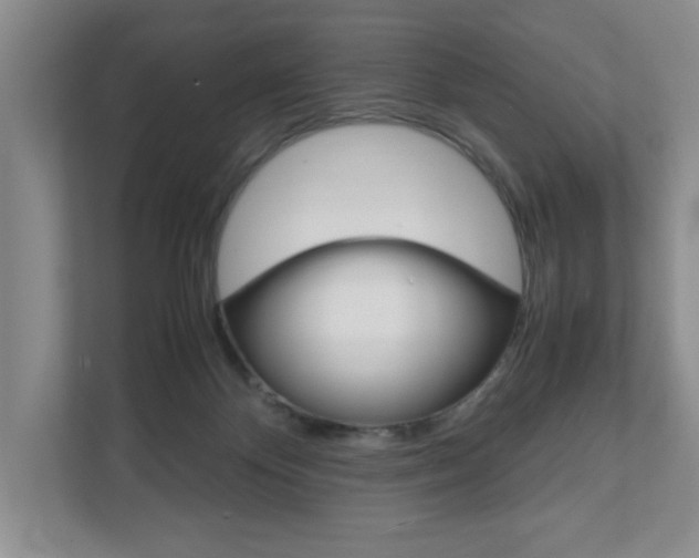 X0000111950124200907271042