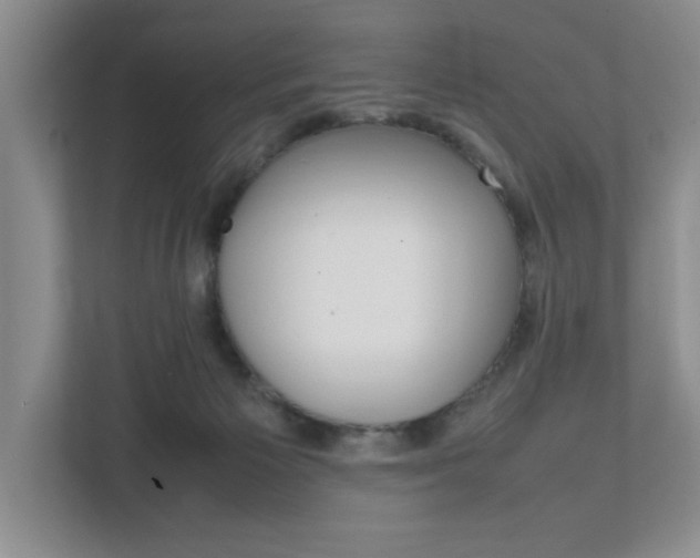 X0000111950125200907271042