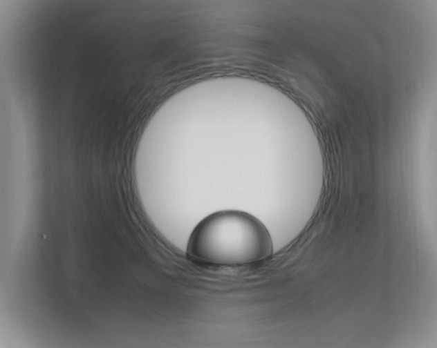 X0000111950129200907271042