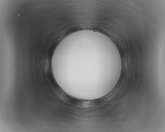 X0000111950130200907271042
