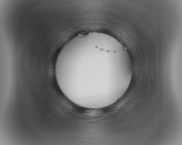 X0000111950135200907271042