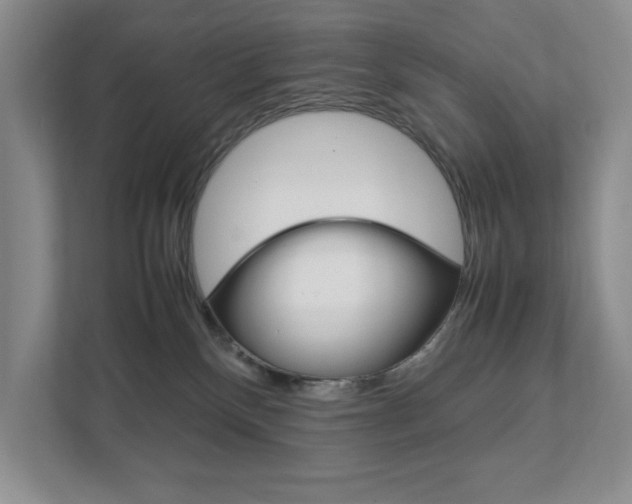 X0000111950136200907271042