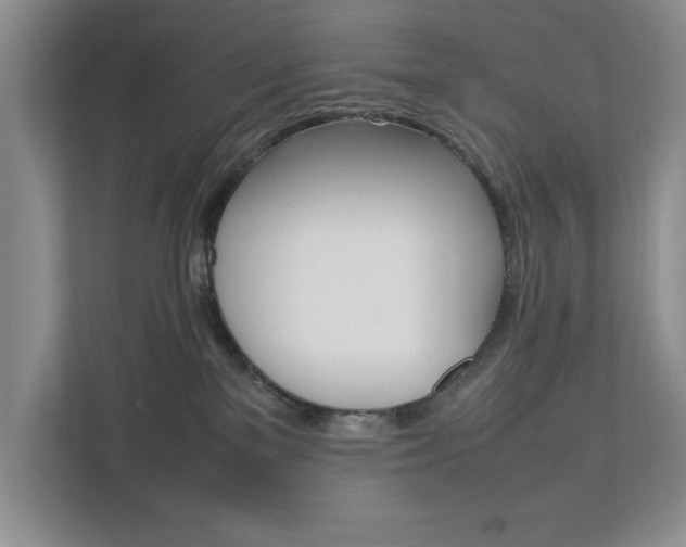 X0000111950137200907271042