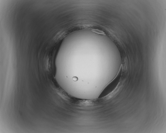 X0000111950140200907271042