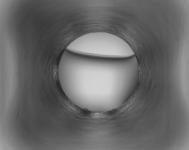 X0000111950141200907271042